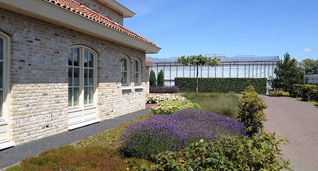 Tuinproject 4